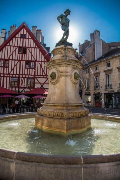 Apartment Le Nid - Cosy Dijon